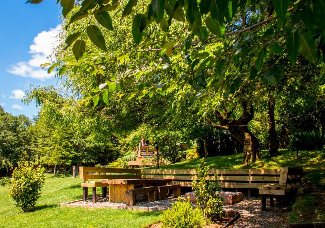 Las Magnolias Lofts Villa Puerto Varas Ngoại thất bức ảnh
